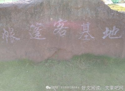 关于倒彩的语句