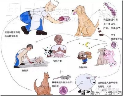 她是姚晨的同学，《金粉世家》演员中唯有她29岁那年香消玉损