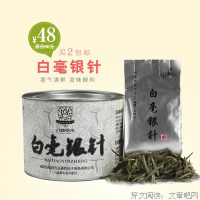 【白茶春茶笔记】第13篇：头采白毫银针的蜕变之路，从青涩到优秀