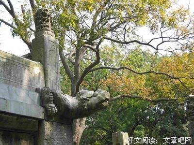《关山飞渡》观后感10篇
