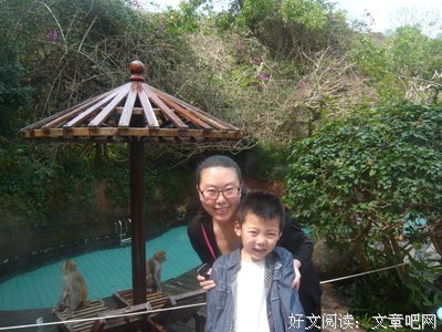 最经典的《那年那兔那些事》佳句摘抄大全