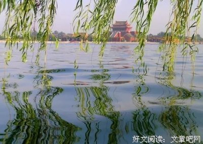 关于真切的语句