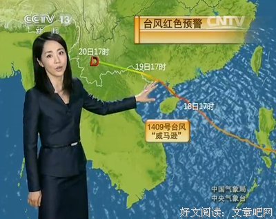 描写威尔逊的经典句子