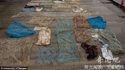 惊呆了，塑料袋也变“it bag”？