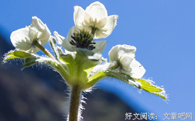 遇见这个星座，你绝对撩不到！