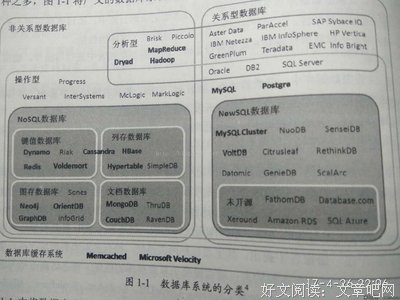 《《挑战不可能》（第一季）》读后感10篇
