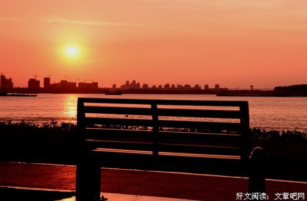 花田岁月读后感精选10篇