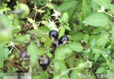 《青春旅社》的影评10篇