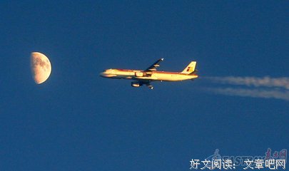 disco普通吗？并不普通
