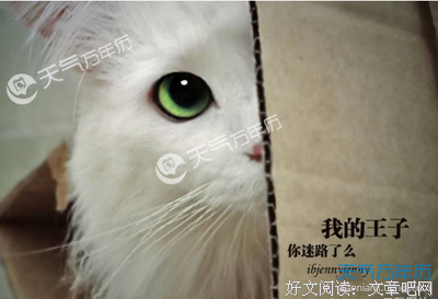 关于千夫所指的语句