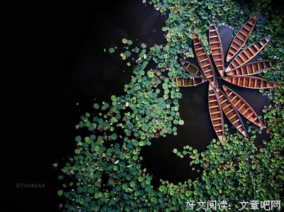 最全的《情舟记》佳句摘抄
