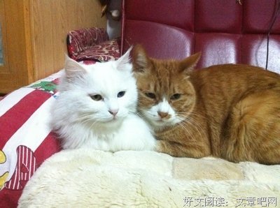 关于腻歪的座右铭
