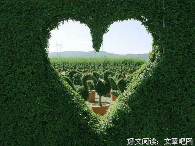 《自由在高处》经典名句