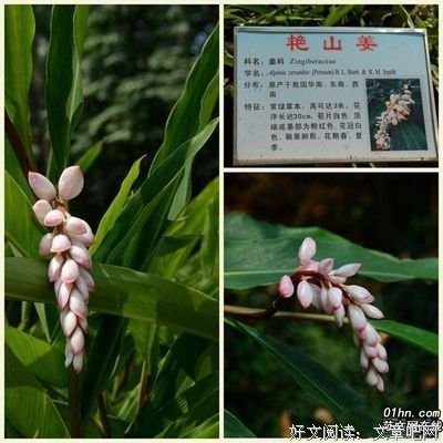 关于奋起直追的语句
