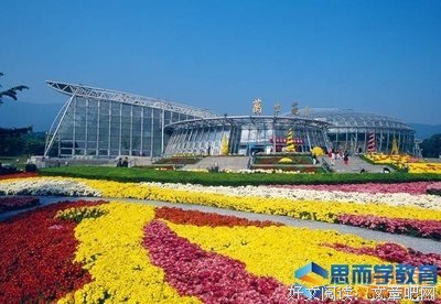 《白色女孩》经典观后感集