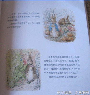 年龄只是数字的读后感10篇