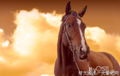 《3号地产商》经典观后感10篇