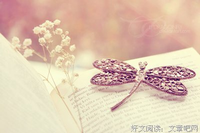 最经典的田维名言名句