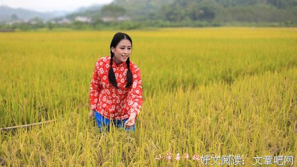 关于小芳的座右铭