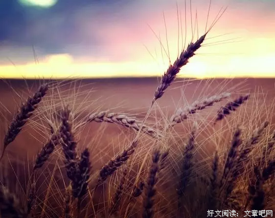 有些心情，无法言语