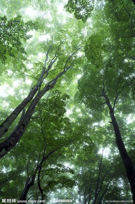 《寂静苍穹下》读后感10篇