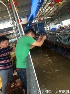 关于惊讶的座右铭
