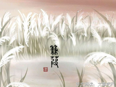 描写卫风的经典句子