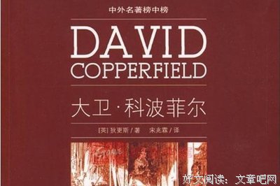 大卫名言大全