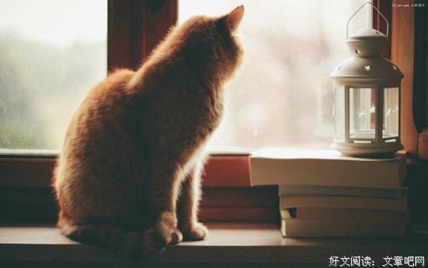 华晨宇经典句子