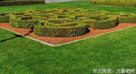 15条关于无足轻重的经典语句