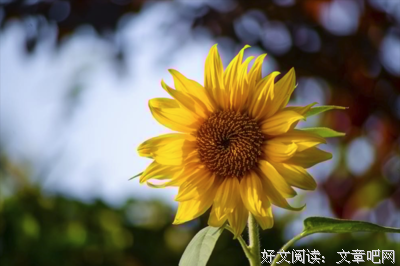 关于可怕的唯美语录