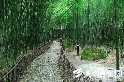 森然的名句_关于森然的名句