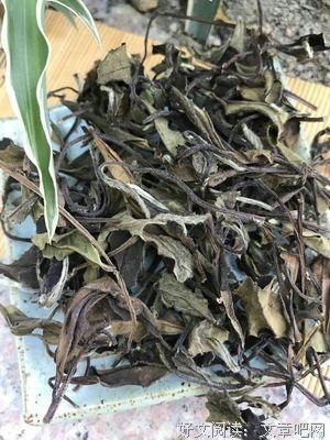 【白茶春茶笔记】第17篇：如何分辨平地银针与太姥高山银针
