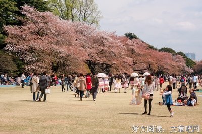 那个去旅行赏樱的朋友，说Ta很羡慕我