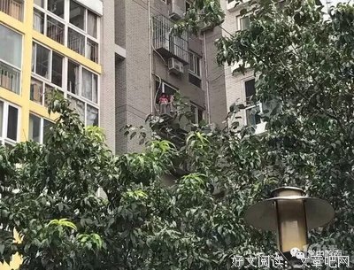 年度扎心故事：我妈跳楼了