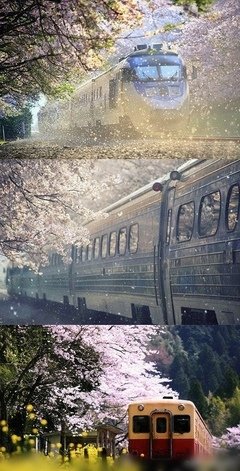 時間會順流而下，我們要逆水行舟。