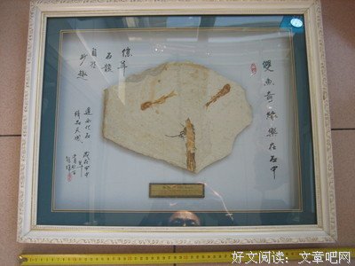 15条关于缘木求鱼的经典语句