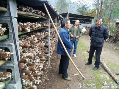 关于远安的名句摘抄
