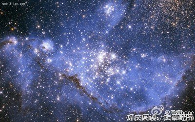 《灵魂摆渡2》经典句子大全
