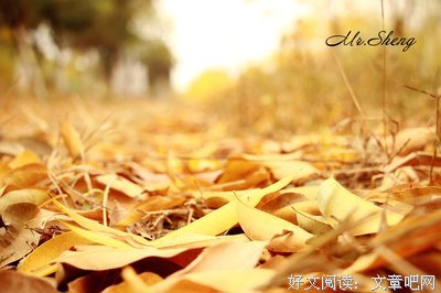 关于悄无声息名言名句