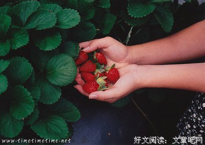 最经典的《妄想照进现实》经典语录大全