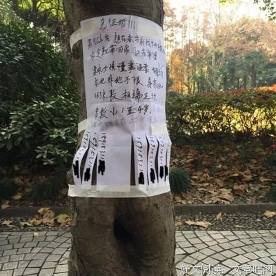 “女人过了30岁就是郊区房，男人有钱也不会买”