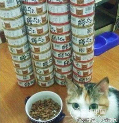 最全的小四之家15句经典名言