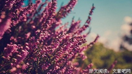 最全的元好问名言名句