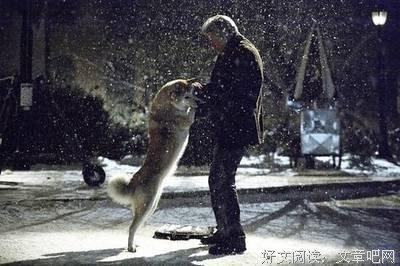 忠犬八公格言警句