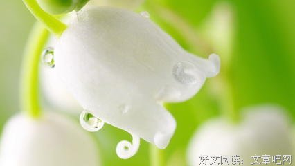 关于如初的唯美语录
