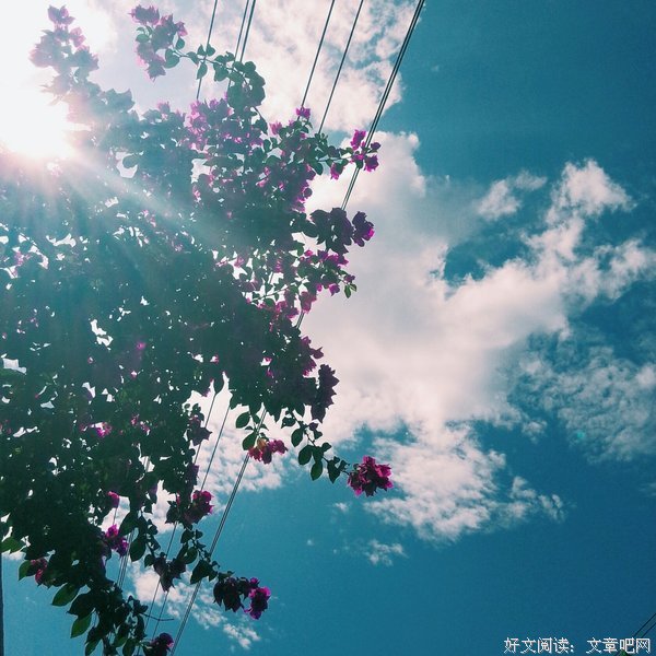 《一个人的好天气》语录摘抄