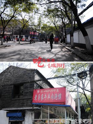 《卤煮》影评10篇