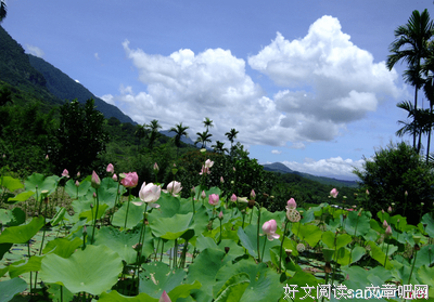 《那些回不去的年少时光》佳句摘抄