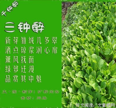千钟醉的句子